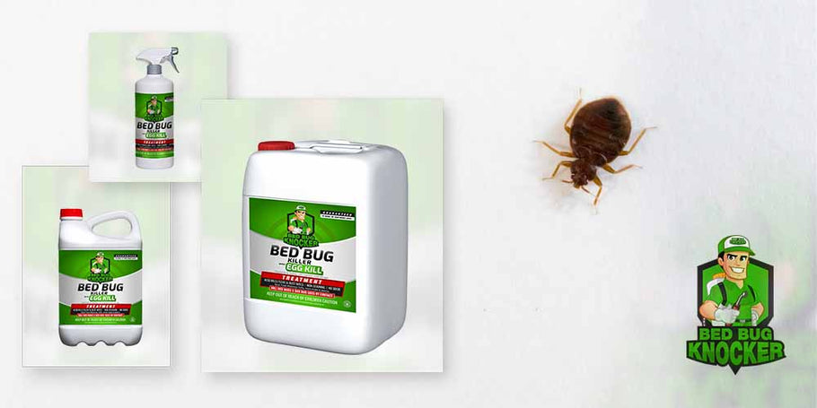 ¿Por qué elegir el repelente de chinches Bed Bug Knocker?