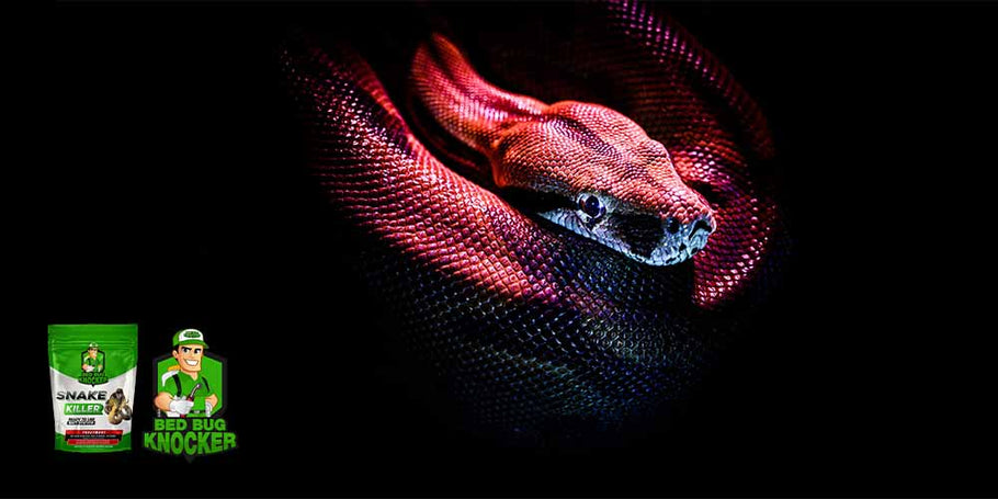 ¿Cuál es el repelente de serpientes más satisfactorio?
